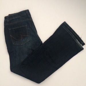Express “Eva” Jeans